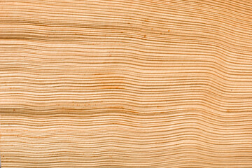 Background of dried palm frond, close up. - 773119292