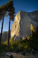 Majestic rocky hill in the background of a green forest