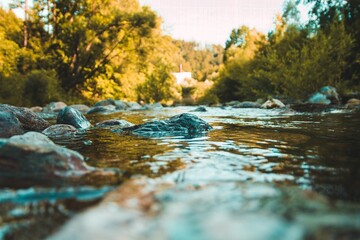 Beautiful shot of the creek water flowing down the rocks