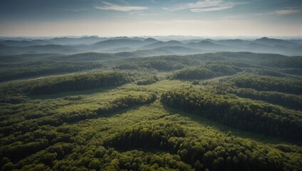 Obraz premium Aerial view of Earth's forests and fields