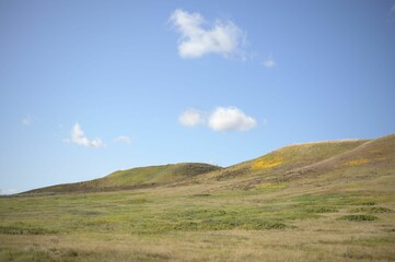 Vibrant landscape of a sprawling grassy hill beneath a sun-drenched blue sky