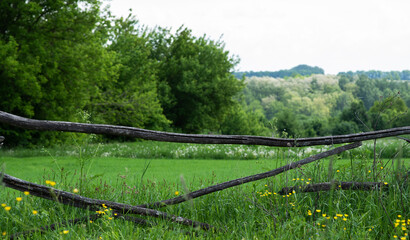 Old wood fence, green field blue sky and white clouds above. Wooden split rail fence background....