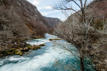 River with rushing rapids, lush trees in the background providing a beautiful natural backdrop