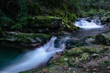 there is water flowing down the rocks and through the woods