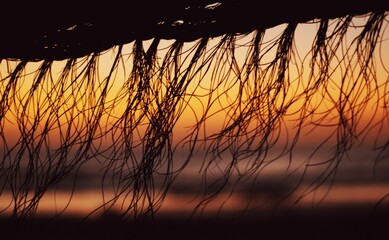 sun setting through a covering of sticks on the beach under an umbrella