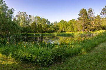 a river surrounded by green grass in front of trees and a blue sky