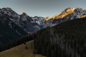 the sun shines on a mountain and the trees are in front of them