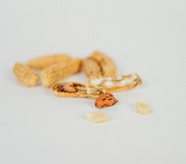 some peanuts and seed are laying on the ground with two shells