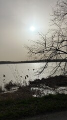 Swamp near Odra river in Silesia