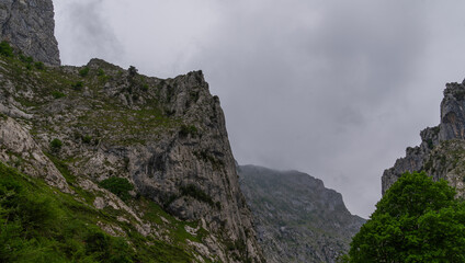 Fototapeta na wymiar Spectacular views in Picos de Europa National Park, Asturias, Spain. Rainy and cloudy day in the mountains in spring.