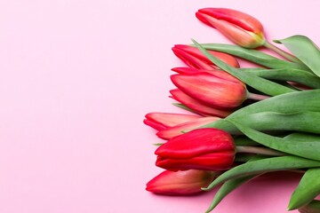 Bouquet of freshly cut vibrant red tulips with copy space on pink background