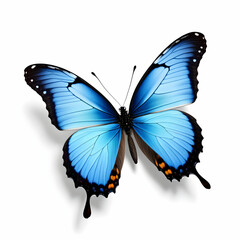 Linda borboleta Azul em voo, borboleta em pouso em voo isolada em um fundo branco 