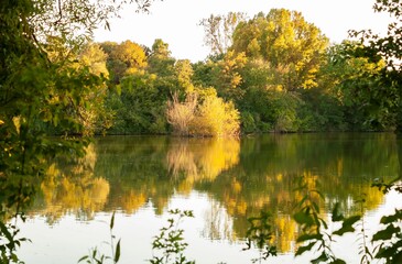 Scenic view of a tranquil lake surrounded by lush trees