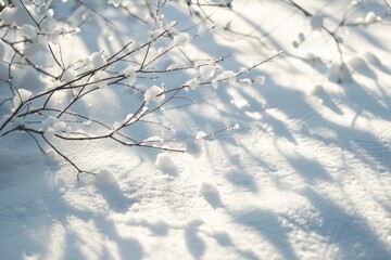 Fototapeta na wymiar Snow covered tree branch casting shadows on snowy ground with shallow depth of field