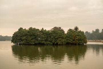 Tranquil landscape featuring an idyllic lake surrounded by a lush forest of small trees