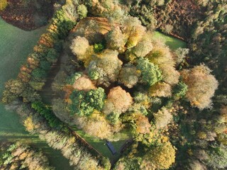 Aerial shot of an autumnal landscape featuring colorful trees