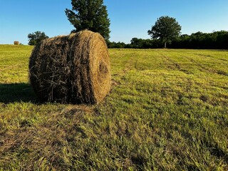 hay bales are in the middle of a field, with trees in the background