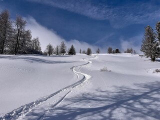Snow-covered mountain slope with traces
