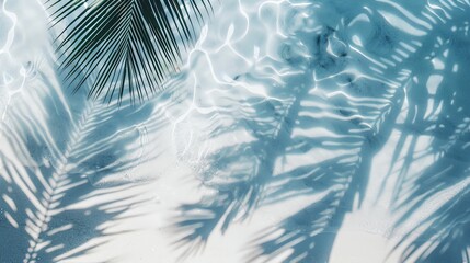 Tropical leaf shadow on water surface, nature photography.