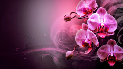 Two pink orchids are shown on a purple background.