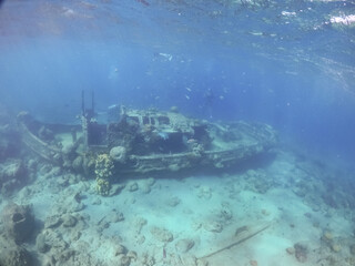 Snorkelling off the Tug Boat wreck Curacao