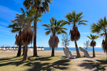 palm trees on the beach in Fuengirola in Spain