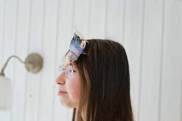 Budgerigar playing with girls glasses. Budgie. Funny blue purple parakeet sitting on owner head....