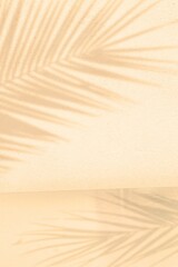 Palm leaf shadow on Abstract cream pastel studio background for product presentation. Vertical empty room with shadow of tropical palm leaves. Creative mockup, minimal summer concept