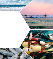 Fisheries on the coast of Sri Lanka. There is free space for text. Collage.