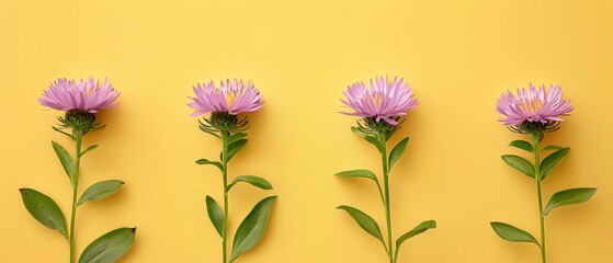   Three purple flowers sit atop a yellow table Nearby, a green plant with leafy foliage rests against a yellow wall