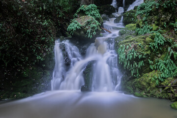 Mount Tamalpais' Cataract Falls During Overcast Day