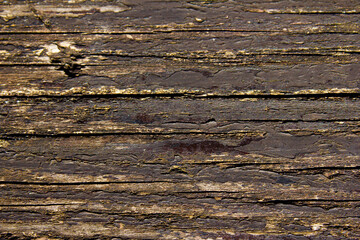 Alte verwitterte Holztextur