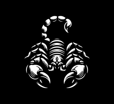 emperor scorpion hand drawn vector illustration