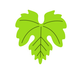 Grape leaf or leaves, plant and nature. Vineyard, grape, vine, vine-growing, fruit and wine, illustration