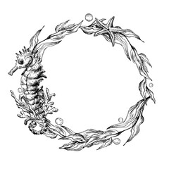 Underwater world clipart with sea animals seahorse, shells, coral and algae. Graphic illustration hand drawn in black ink. Circle wreath, frame EPS vector. © NATASHA-CHU