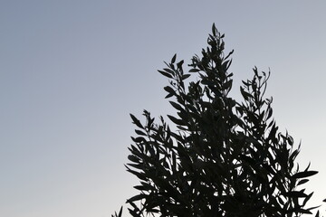 beach, sea, water, sand, ocean, coast, island, sky, summer, landscape, vacation, nature, tropical, travel, holiday, wave, bay, coastline, mediterranean, greece, scotland, shore, turquoise, paradise