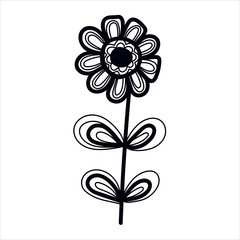 Vector illustration of hand drawn flower. Cute doodle nature element.