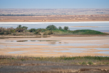Gabal Dakrur, Siwa Oasis, Libyan Desert, Egypt