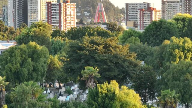 puente en Temuco