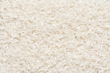 Uncooked dried white round rice texture. Short grain rice background