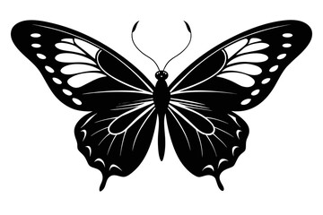 butterfly black silhouette image vector illustration, white background 