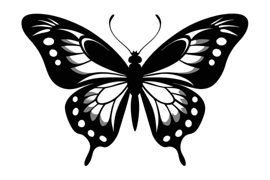 butterfly black silhouette image vector illustration, white background 