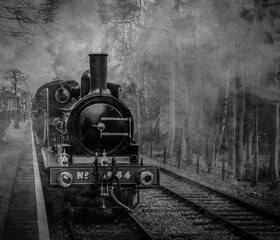 GER Y14 0-6-0 – 564 Steam Train