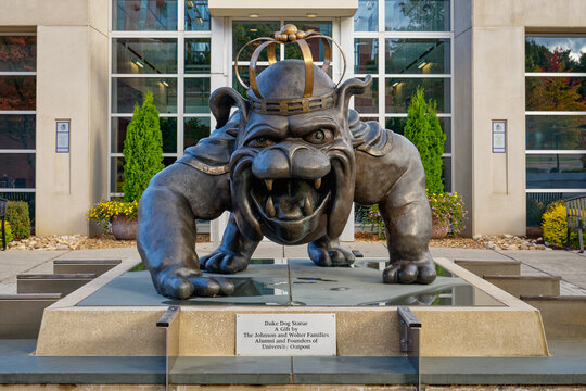 Harrisonburg, Virginia - Oct. 21, 2023: Close up on the Duke Dog Statue, by Lee Leuning, in front of the Robert and Francis Plecker Athletic Performance Center on the James Madison University campus.