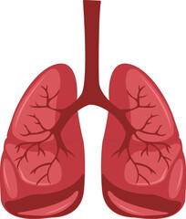 Human Lungs Vector Art Free Download.eps