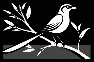 Captured a two colorful  tia  bird on a tree Silhouette black on white background 