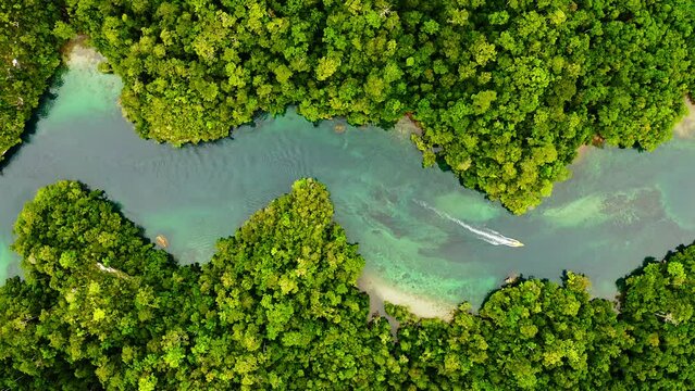 Mountains, forest and drone in canyon, boat and valley for travelling, nature and scenery landscape. Outdoor, tropical and ecosystem in africa, peaceful and environment for sustainability and river