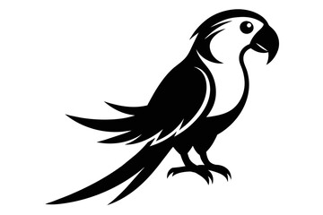 silhouette image,parrot,vector illustration,white background 