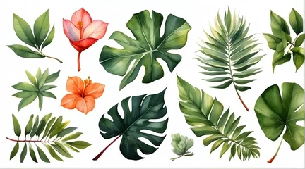 Tuinposter Lush watercolor painted botanical elements with attention to the lively textures of various tropical leaves and bright flowers © JohnTheArtist