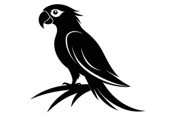 Fototapeta premium silhouette image,parrot,vector illustration,white background 